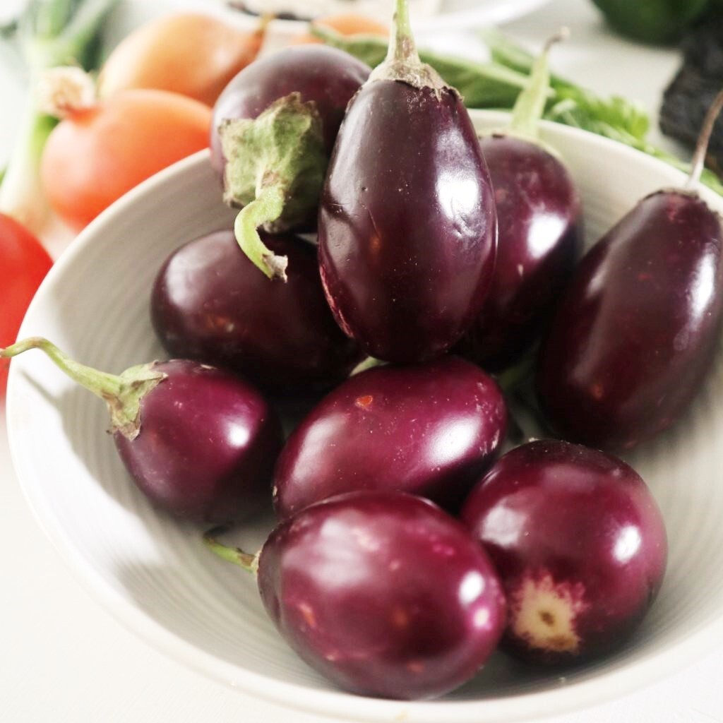 Indian Eggplant Seeds | Brinjal Baby Mini Aubergine Asian Vegetable Seeds 2023