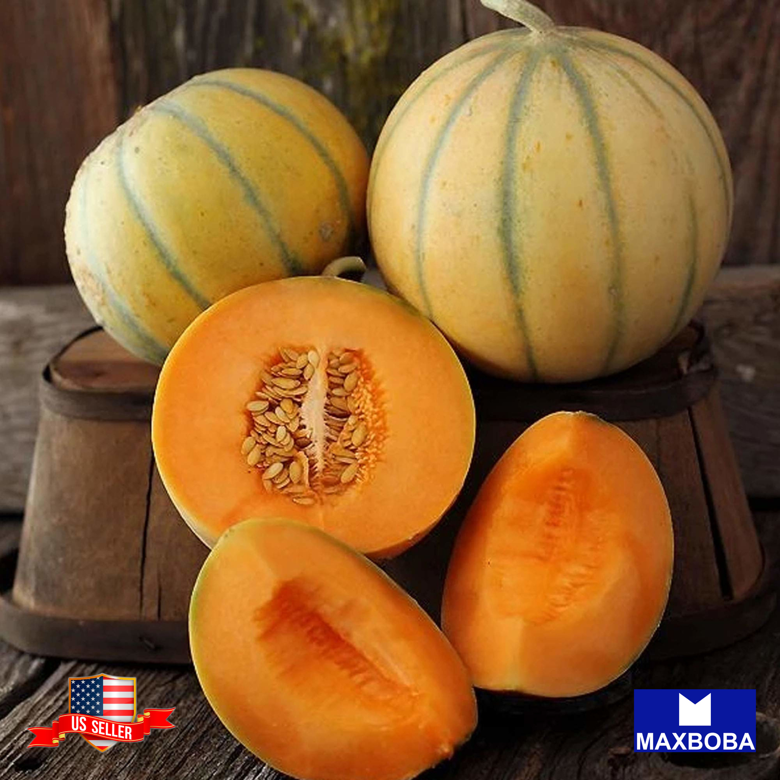 Melon Seeds Charentais Non-GMO Heirloom