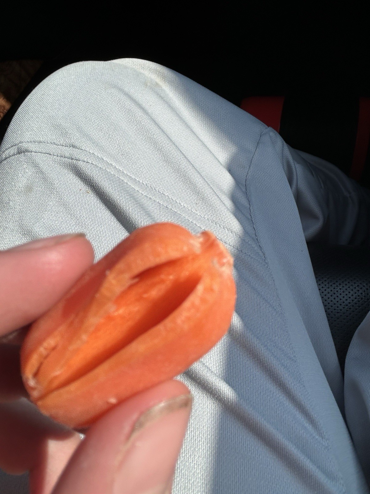 Carrot