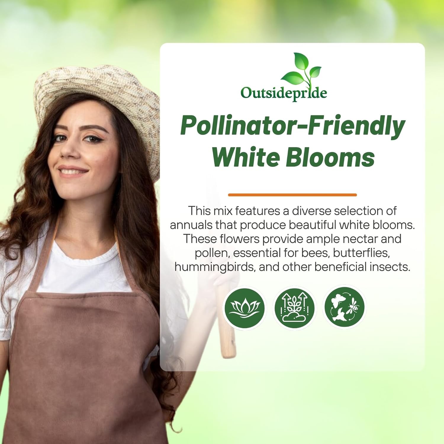 10000 Seeds White Flowers Seeds – White Wildflower Seed