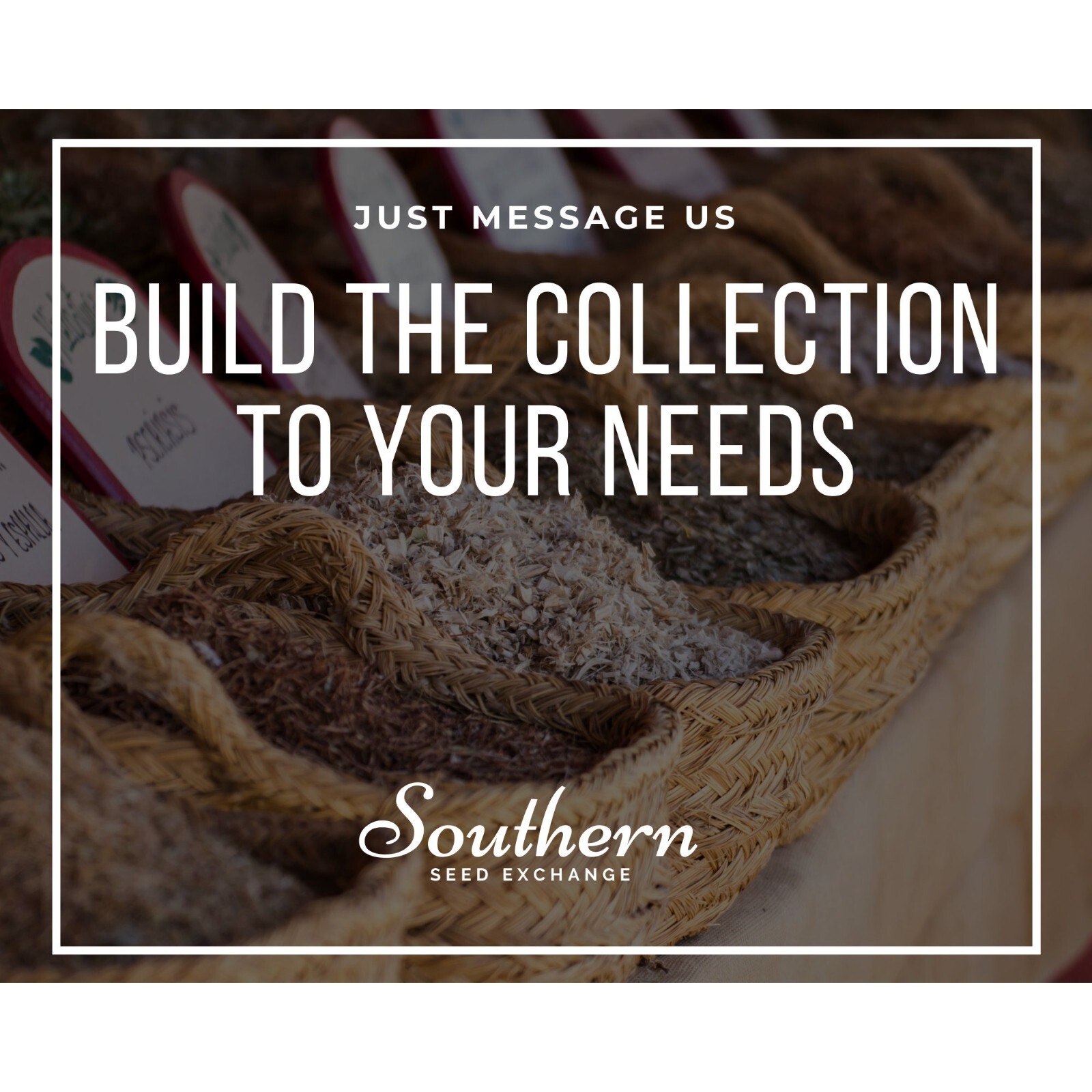 Bee Friendly Collection – 10 Seed Varieties: Enhance and Strengthen the Bee Popu