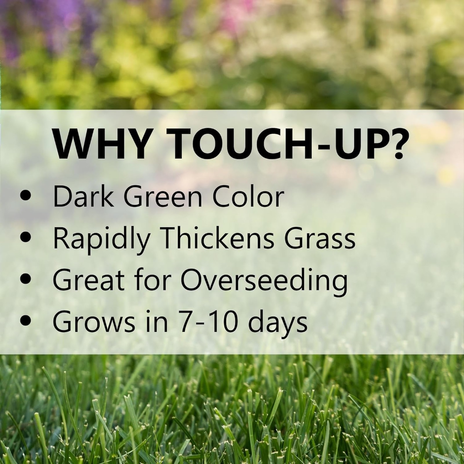 Jonathan Green Touch-Up TRI-RYE Perennial Ryegrass Blend 7lb (Pack of 2)