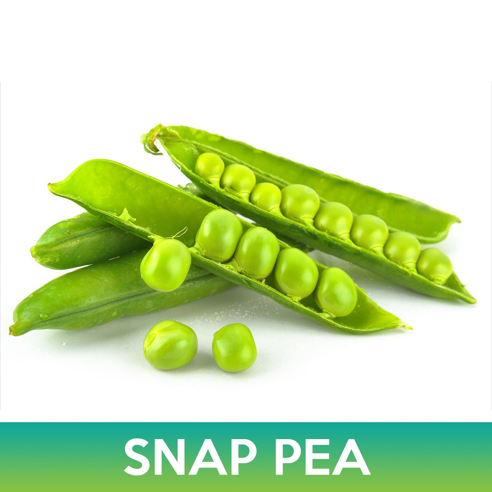 Super Sugar Snap Pea Seeds