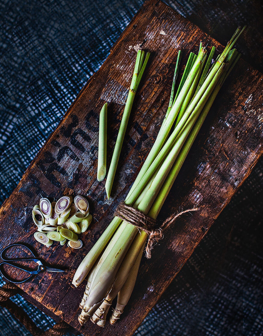 5 Lemongrass Plugs Stalk Cymbopogon Herb Sereh Plant EZ grow Healthy Lemon Grass