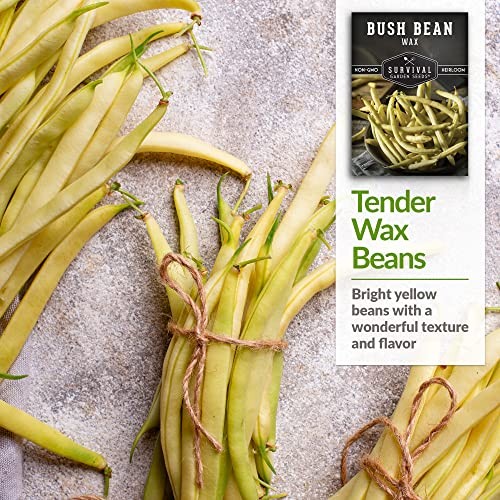 – Golden Wax Bush Bean Seed for Planting – Packs with Instructions to Plant 3