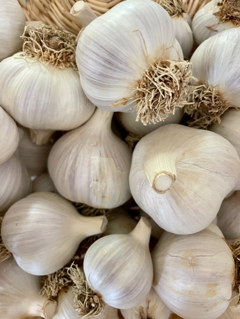 USDA Organic Persian Star Garlic Bulbs | Bold Gourmet Garlic | California Grown