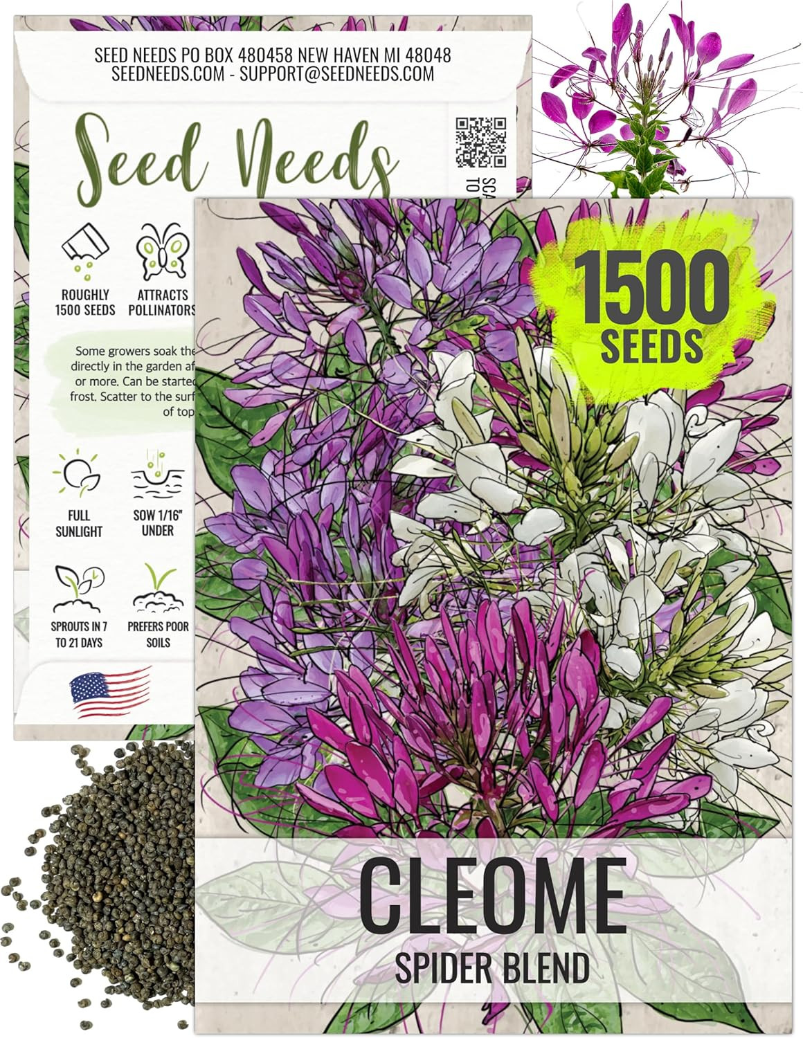 Seed Needs Cleome Seeds for Planting Spider Plants – Heirloom & Open Pollinated