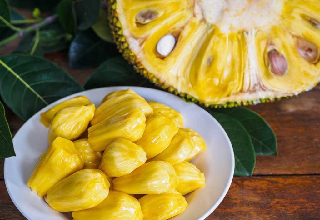 Jackfruit – 12 Fresh Seeds – USA seller