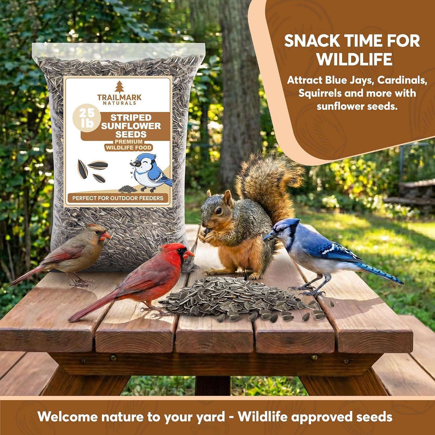 Striped Sunflower Seeds, Shelled Seeds for Birds – Premium Wildlife & Bird Food