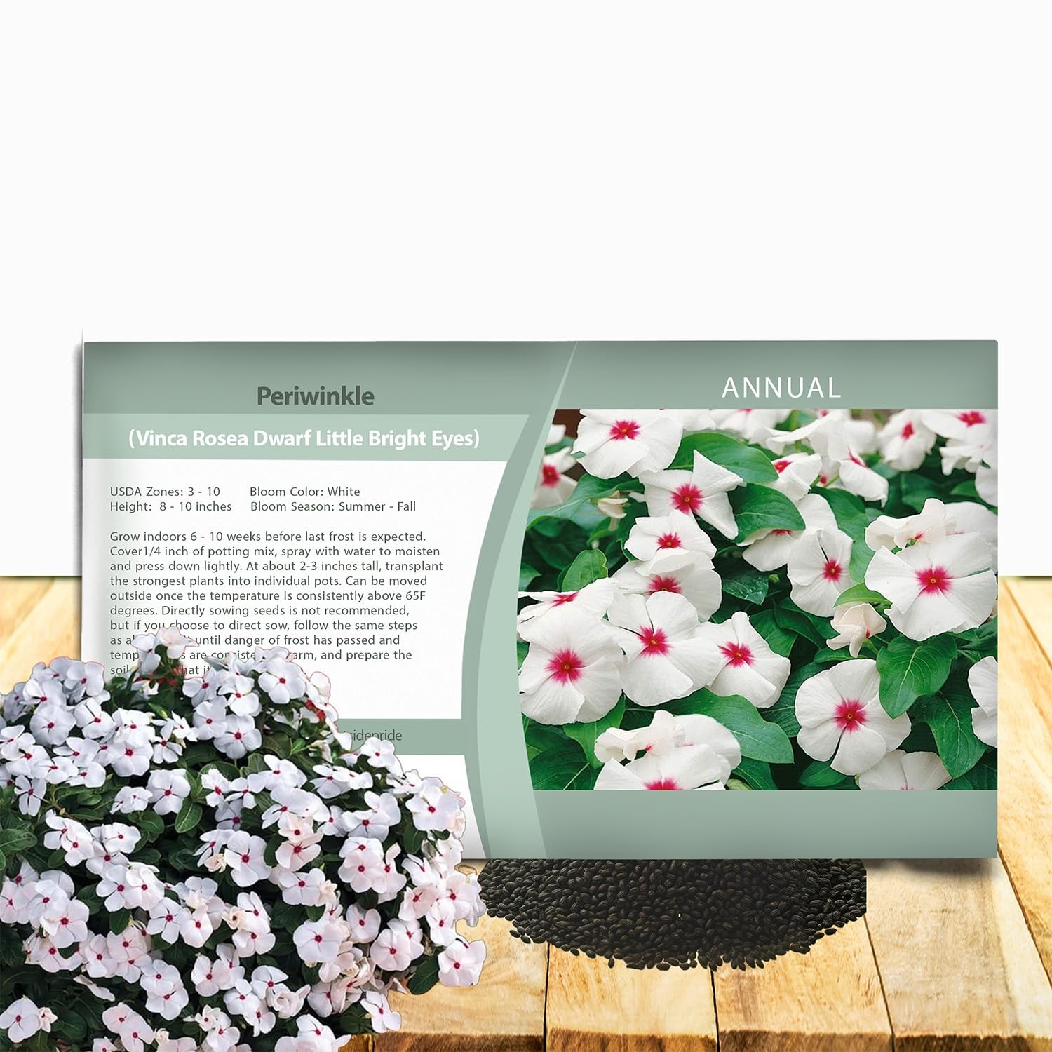 Bright Eyes Periwinkle Seeds for Planting – 2000 Pcs Annual, Fast-Blooming, H…