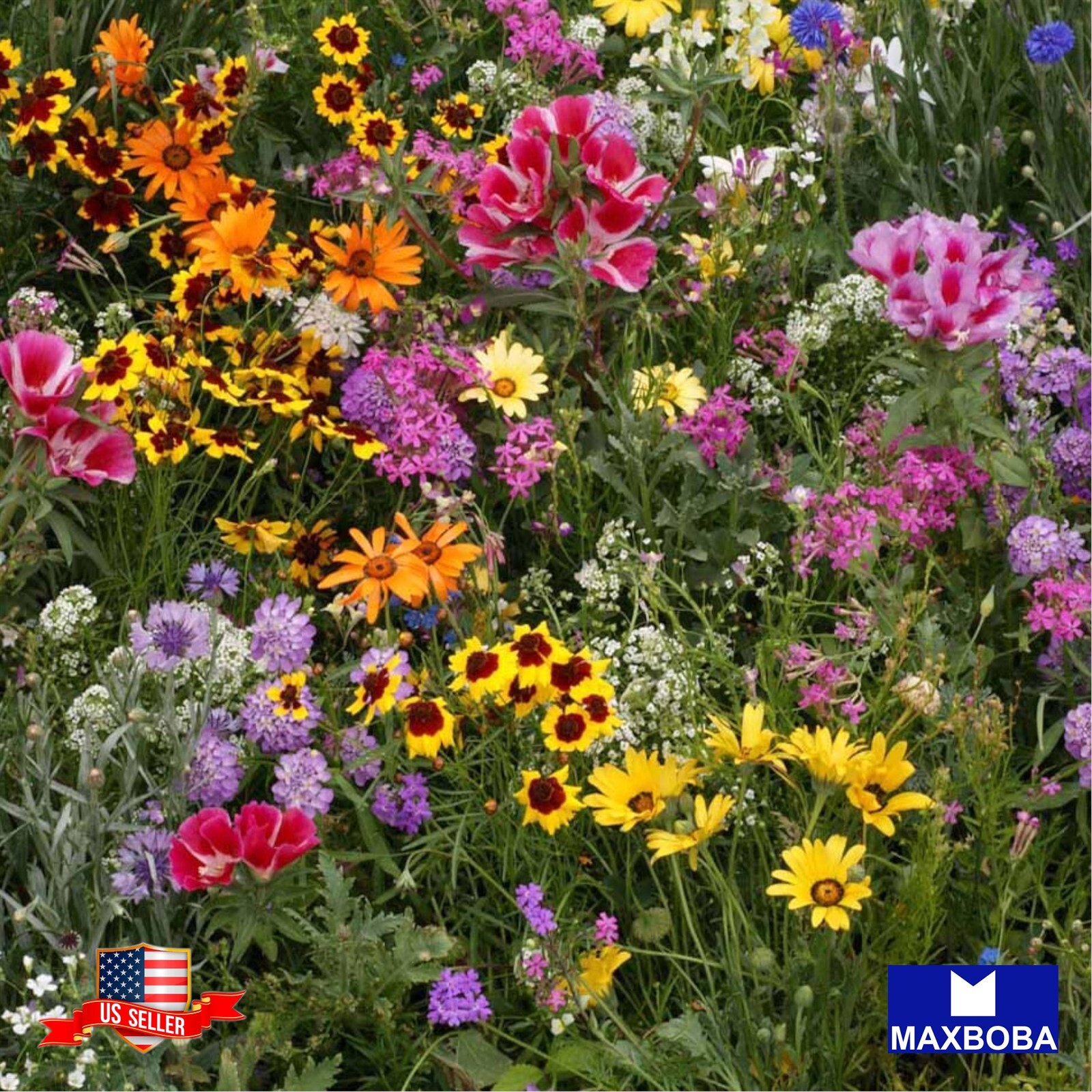 1/4 oz Wildflower Seeds – Low Growing Mix Non-Gmo BOGO 50% OFF