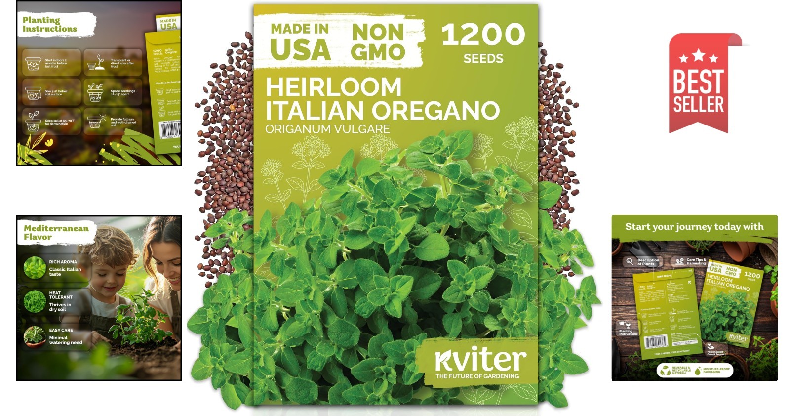 1200 Non-GMO Italian Oregano Seeds – Heirloom Herb for Indoor & Outdoor Gardens