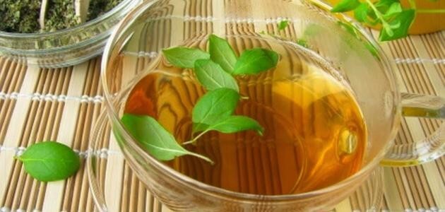 المردقوش Marjoram HerbوWinter Marjoram, Herb, NON-GMO 4 OZ