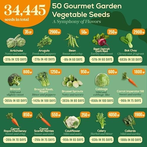 50 Gourmet Vegetable Seeds Variety Pack – Non-GMO Heirloom Seeds for Indoor/Outd