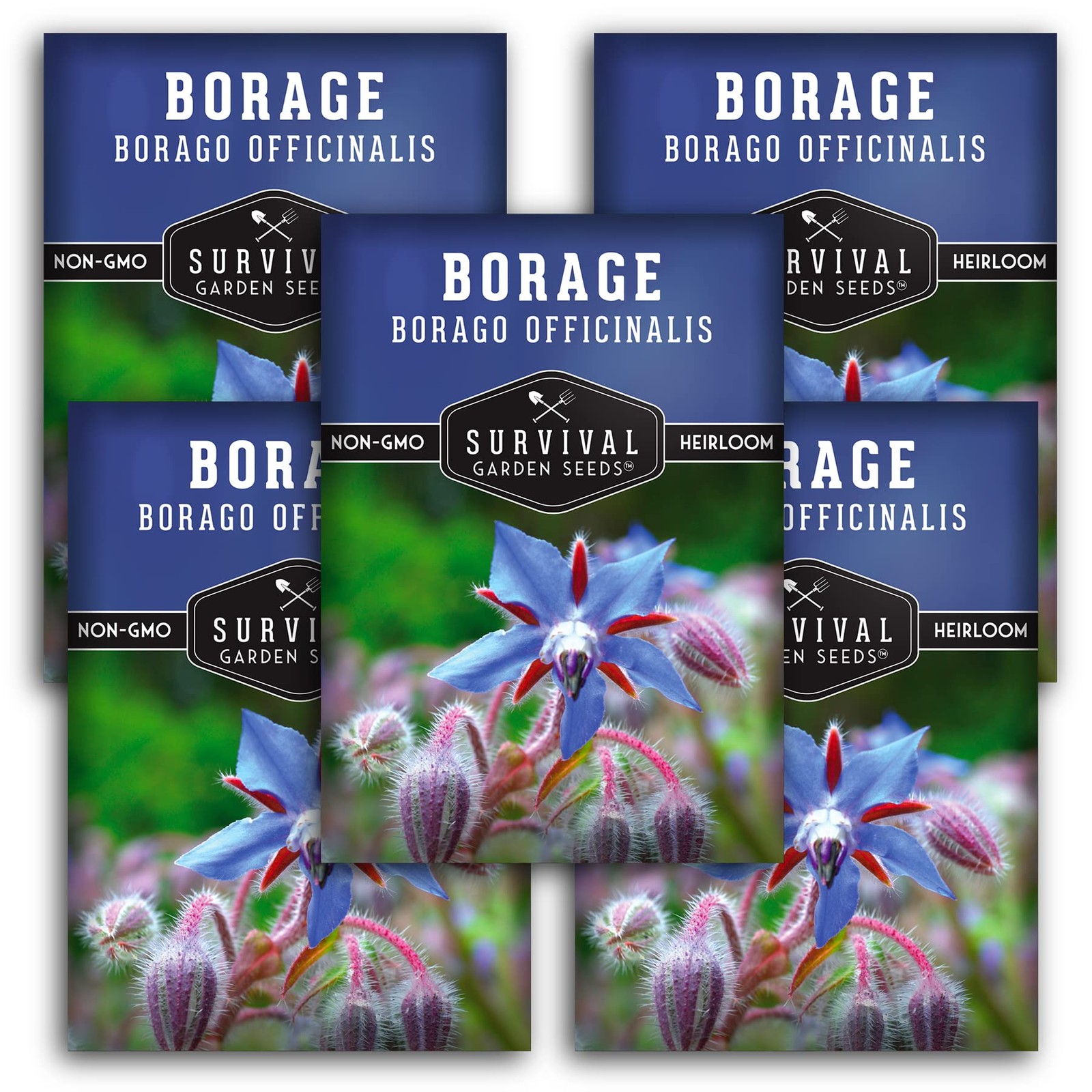 Borage Seeds for Medicinal Herb Garden NonGMO, 5 Packs with Planting