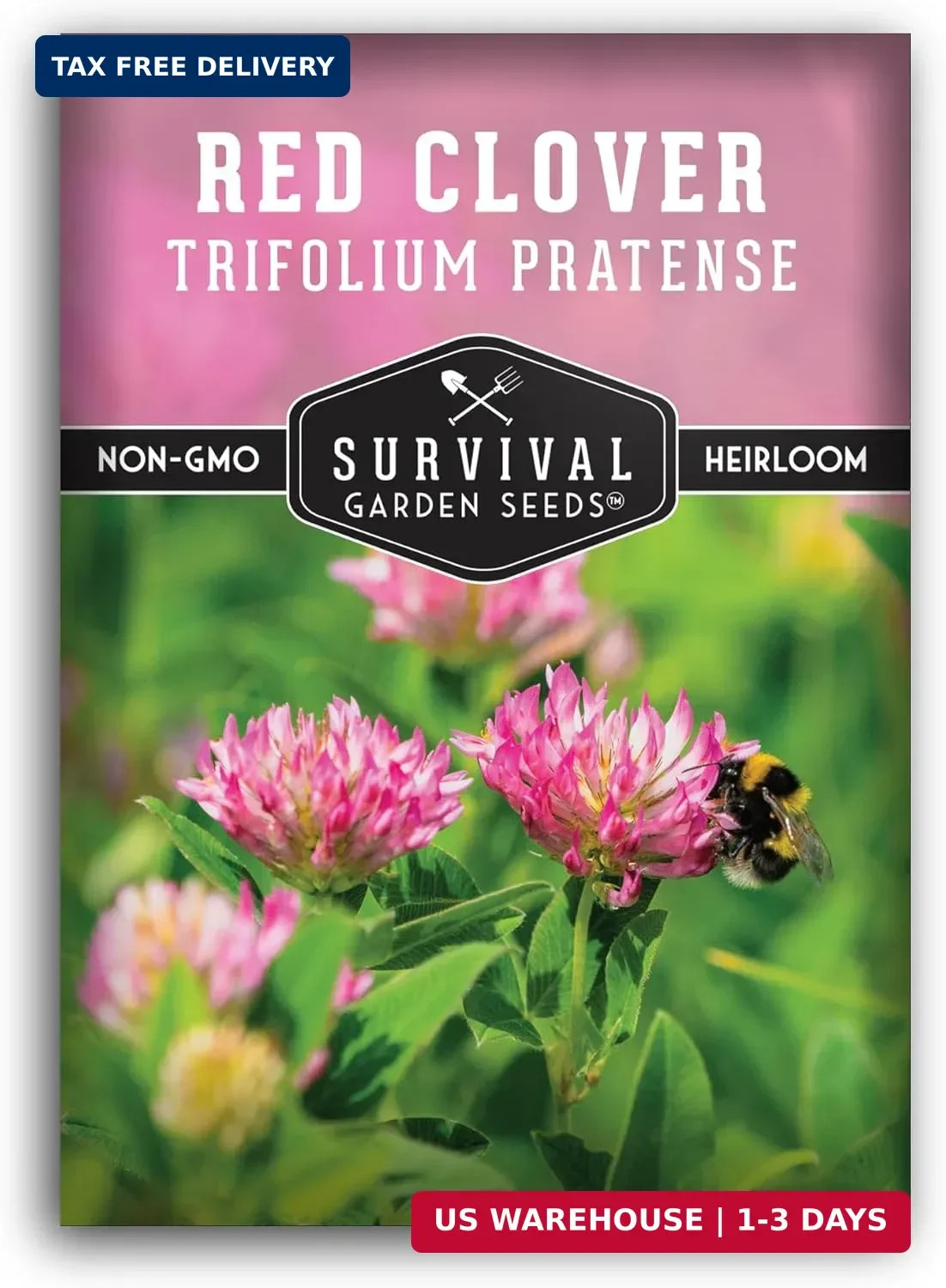 Red Clover Seeds for Planting – Nitrogen-Fixing Cover Crop & Ground Cover for So