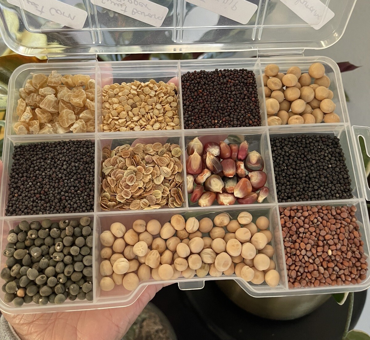 Seed Bank Package