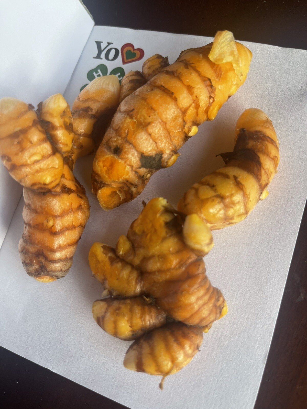 Orange Turmeric Rhizomes (roots) 4 Units – Curcuma Sacados De Tierra 12/03/2023