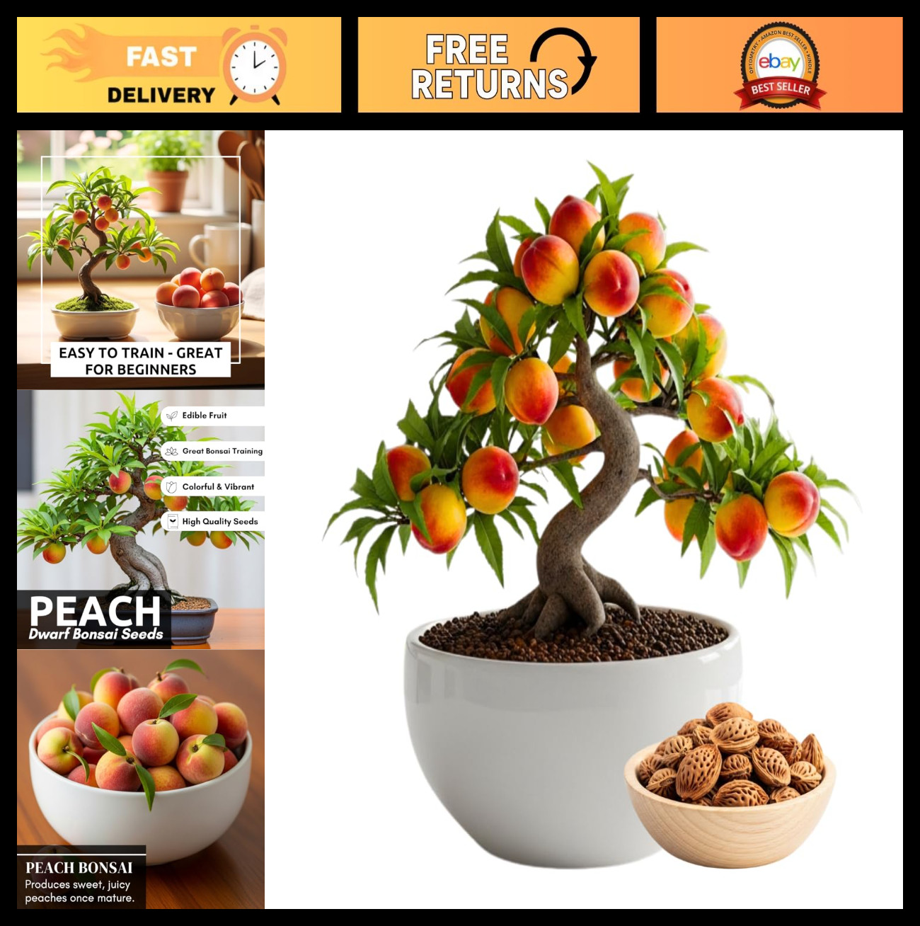 Peach Tree Seeds – 5 Large Easy Grow Miniature Fruit-Bearing Bonsai Seeds – Hard
