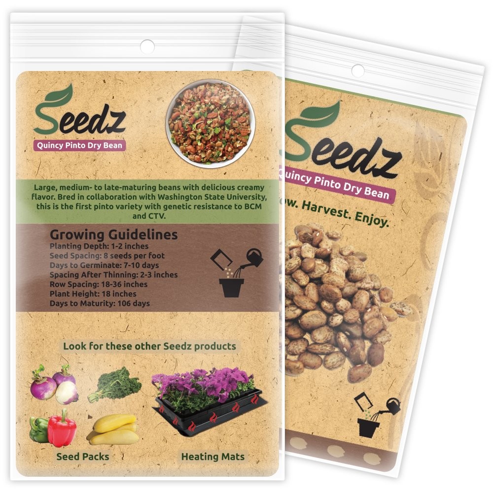 Organic Bean Seeds Appr. 115 Pinto Dry Bean Heirloom Vegetable Seeds Certifie…