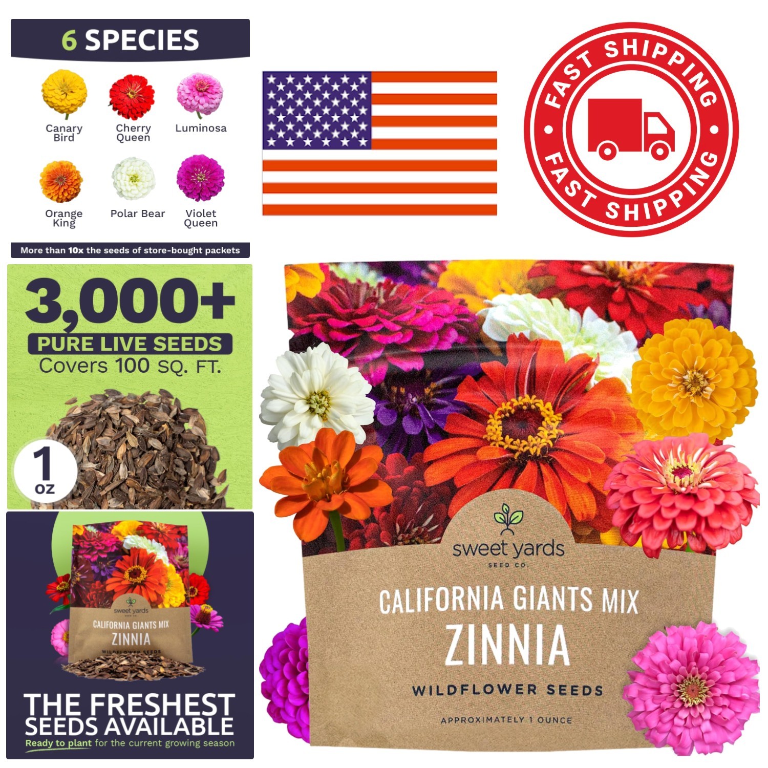 Large Bloom Zinnia Seeds 3000 Count Mix Perfect for Spring to Fall Gardens