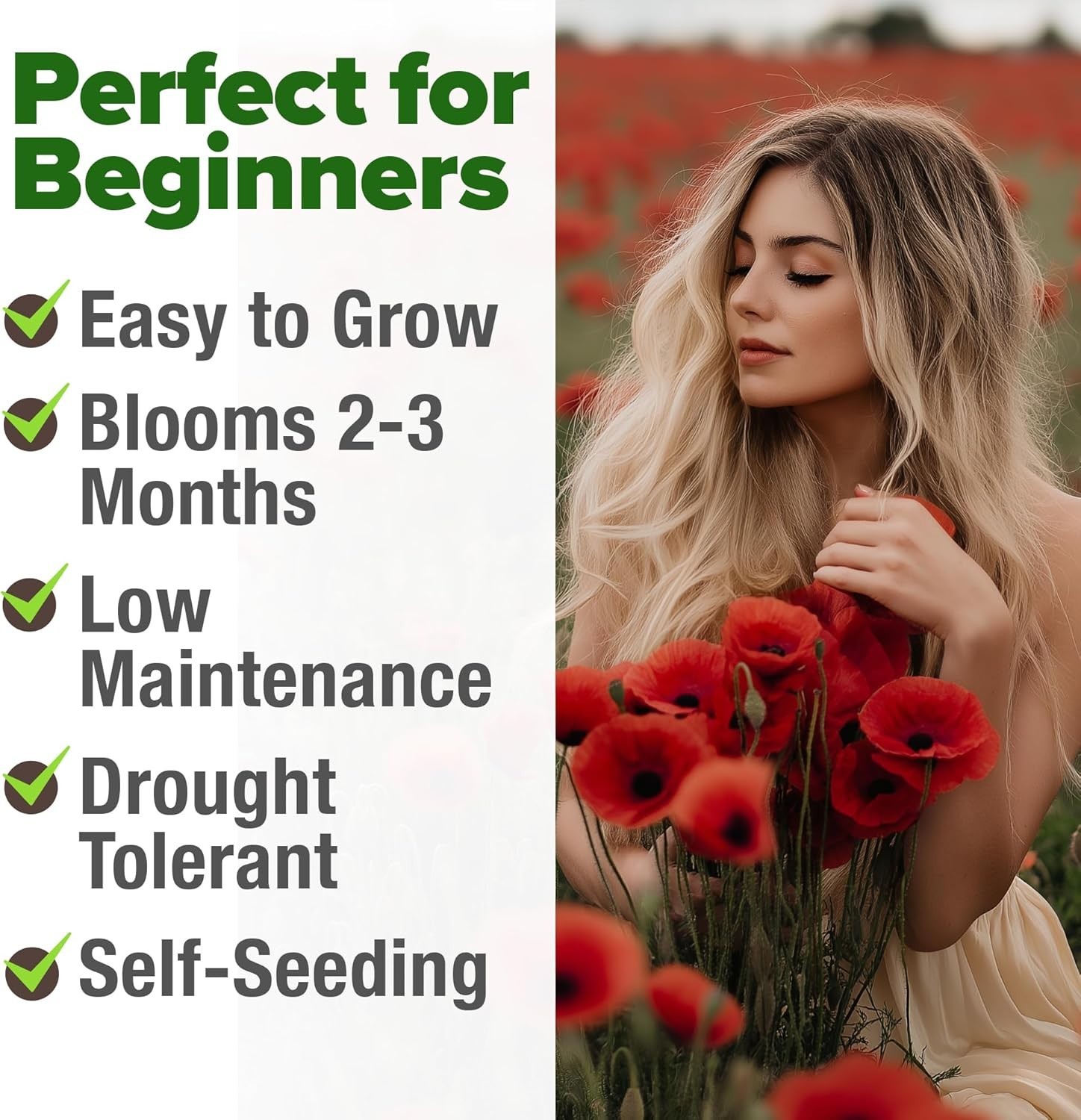 HOME GROWN American Legion Red Poppy Seeds – 6,000 Vibrant Wildflower Seeds for