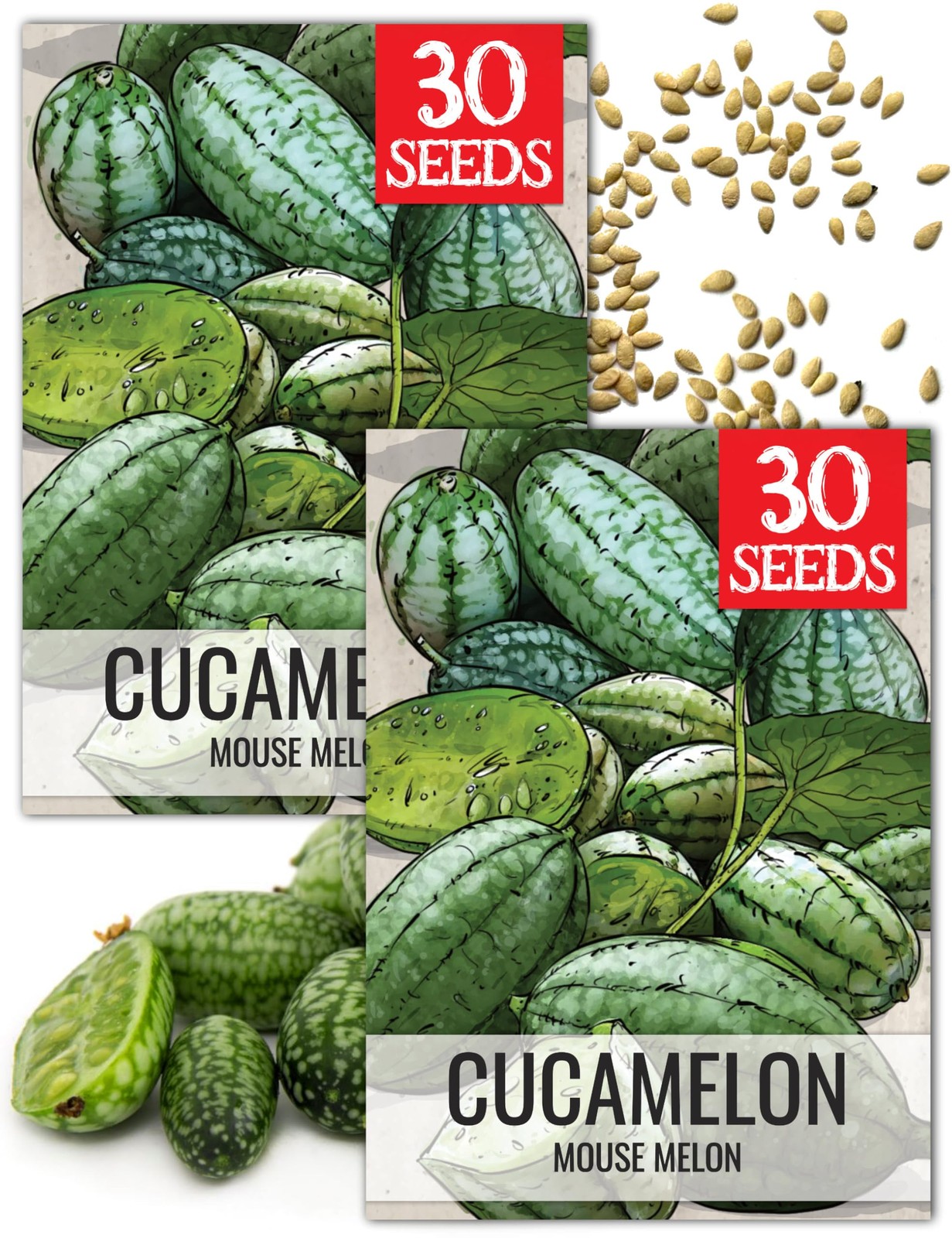 Cucamelon Seeds Grow Mexican Sour Gherkin Miniature Melons NonGMO &