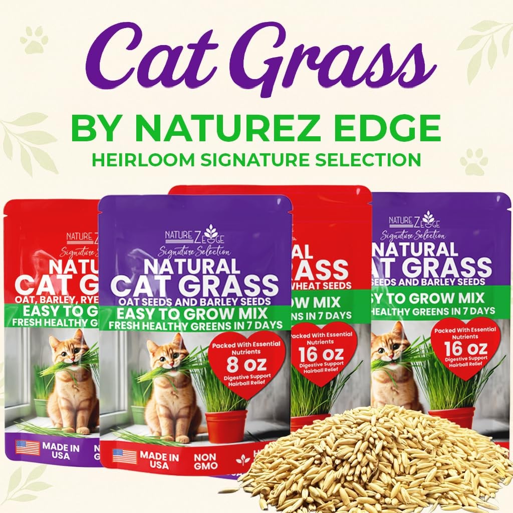 NatureZ Edge Cat Grass Seeds & Catnip Seeds – 3 Pack Variety Kit, Cat Grass f…