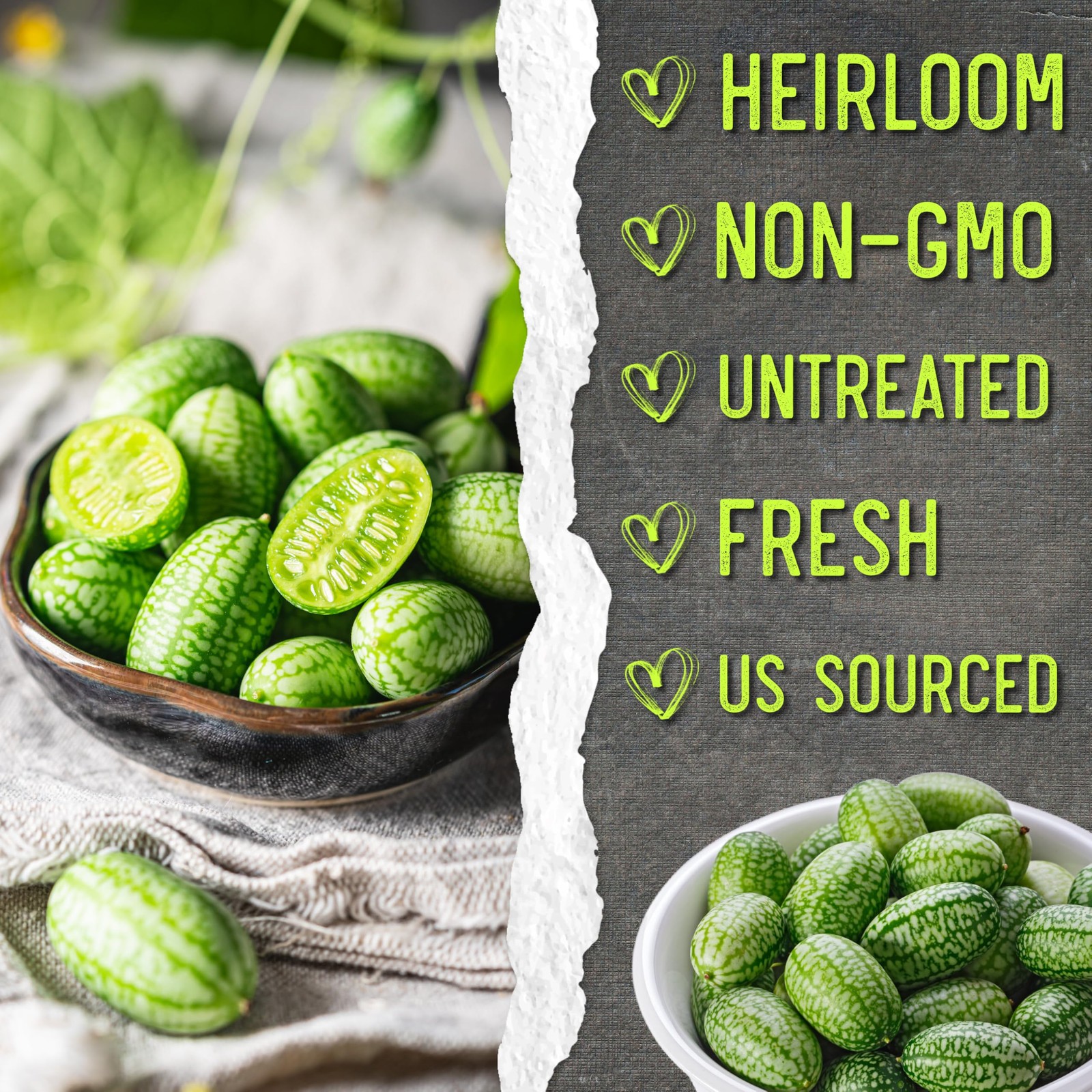 Cucamelon Seeds for Planting Mexican Sour Gherkin Miniature Mouse Melons – No…
