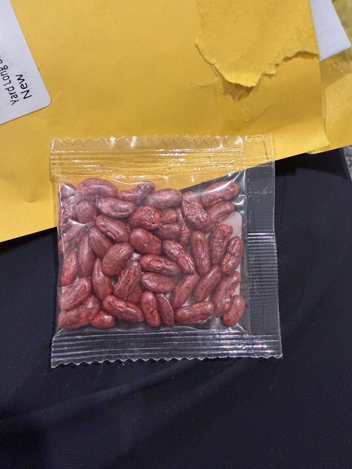 30+ Yard Long Bean Seeds Asian Vegetable LongBean String Beans Productive USA