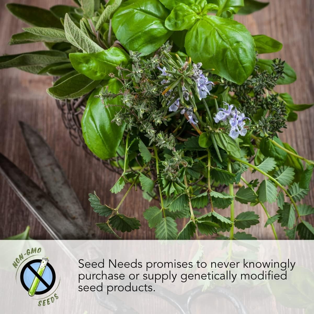 Grow Your Own Heirloom Indoor Herb Garden with 5 Fresh Non-GMO Seed Varieties