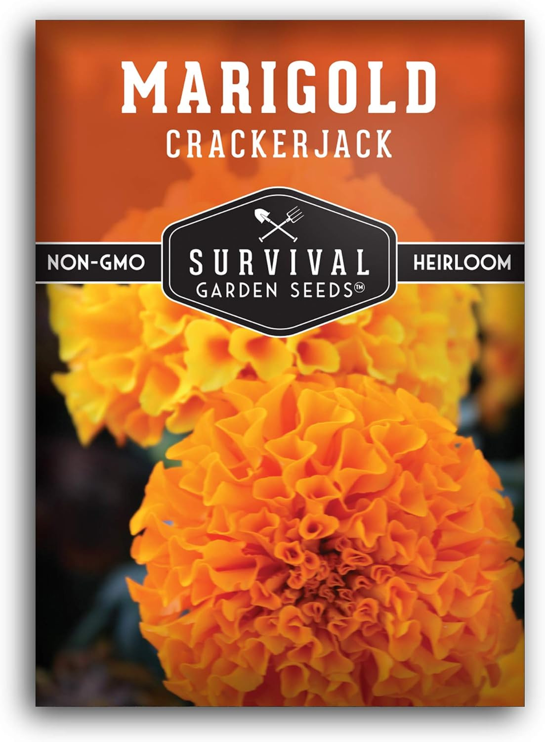 Crackerjack Marigold Seeds for Planting – Tall African Flower Mix for Pollinator