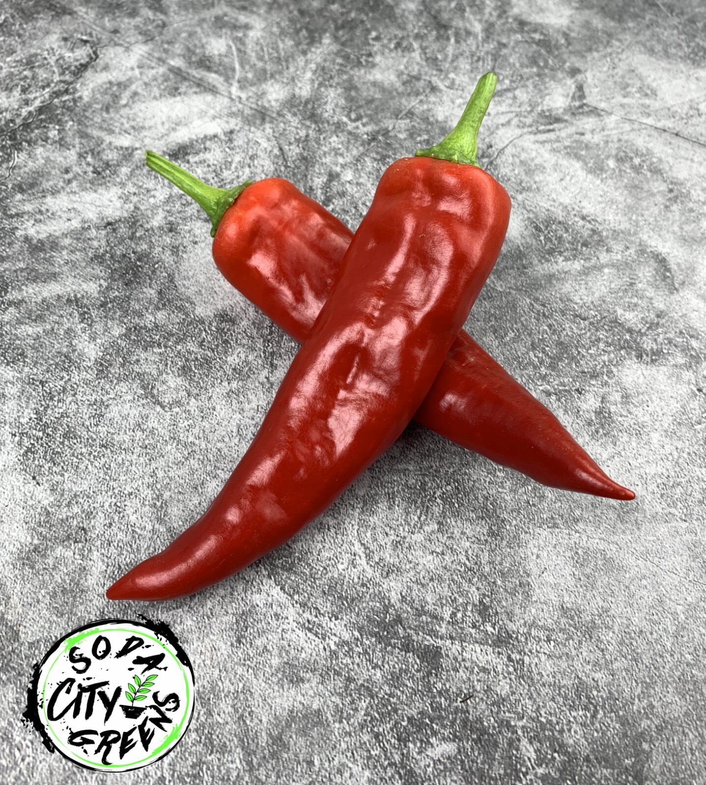 Hatch (New Mexico Red) Chile Pepper Seeds 10+