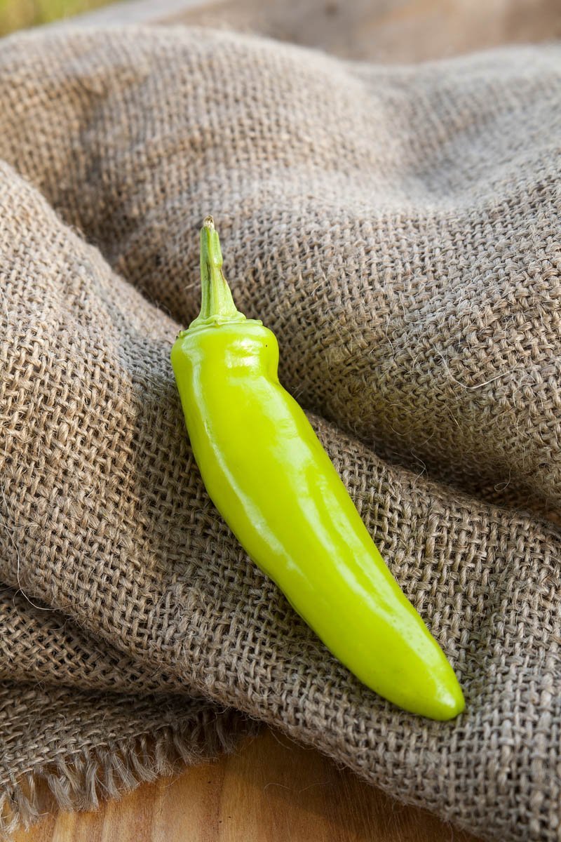 Hot Banana Heirloom Wax Pepper Premium Seed Packet