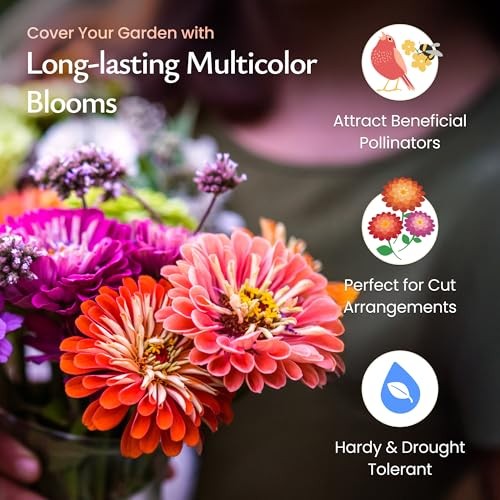 California Giant Zinnia Wildflower Seeds, Multi-Colored Flower Varieties,