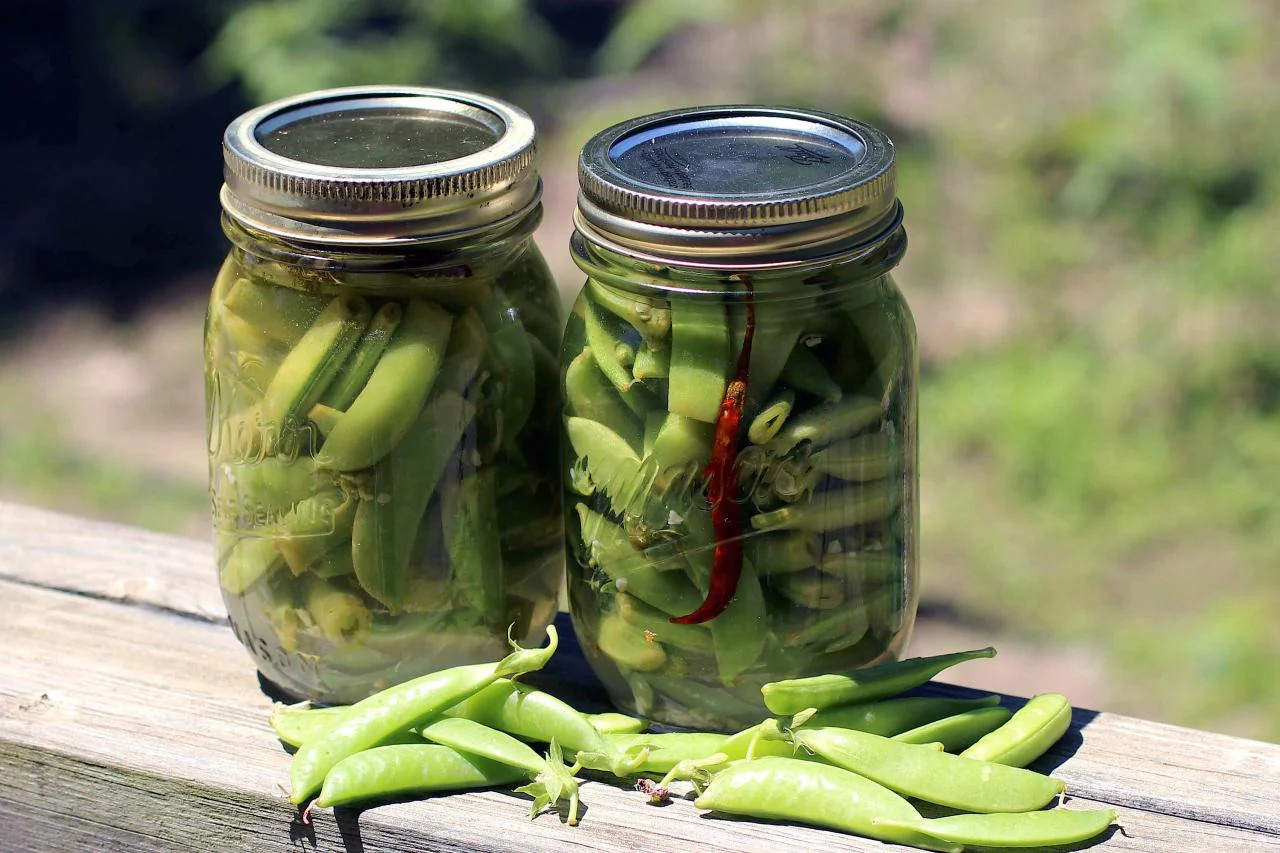 Sugar Ann Snap Pea Seeds | AAS Winner English Asian Chinese Snow Peas Seed 2024