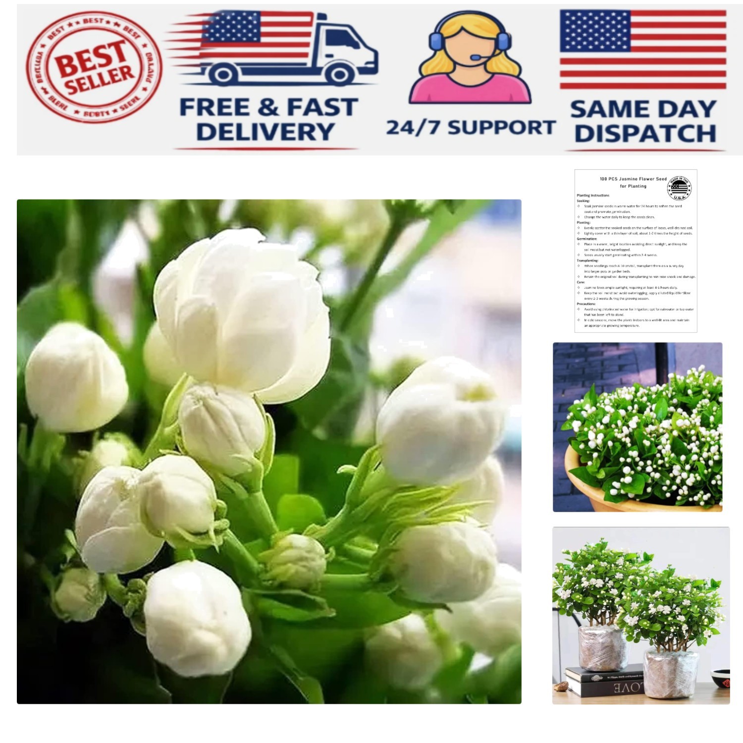 Organic Jasmine Flower Seeds – 100+ Climbing Plants for Garden Beautification