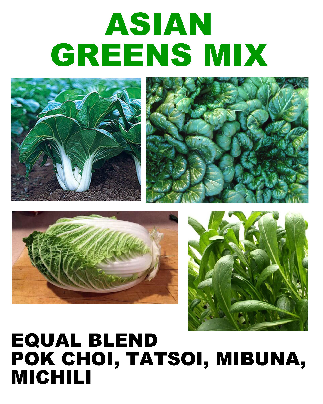 250 ASAIN GREENS BLEND MIX SEEDS FRESH FOR 2024 GARDENS US SELLER SHIPS QUICK