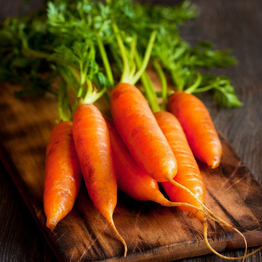 700 LITTLE FINGER CARROT SEEDS FRESH HARVEST FOR GARDENS