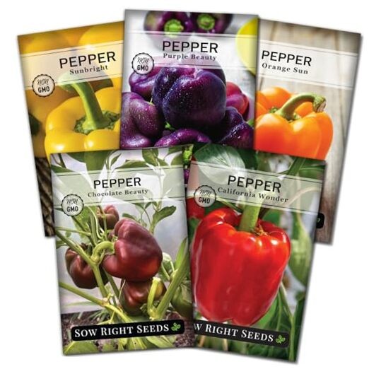 – Sweet Bell Pepper Seed Collection for Planting a Home Garden – 5 Packets