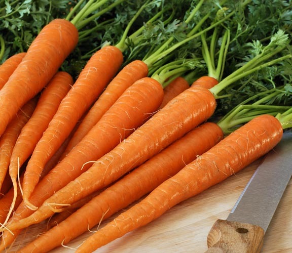 TENDERSWEET CARROT SEED * JUICING * RAW * CANNING * CORELESS * 200 COUNT PKT.