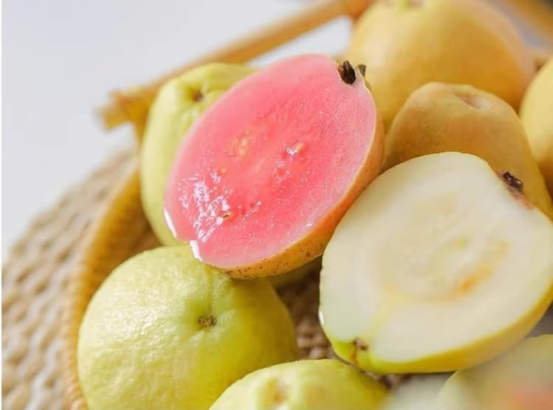30+ Pink Guava Seeds Tropical Strawberry Guava Tree Seed Easy Fruit Fruit Garden