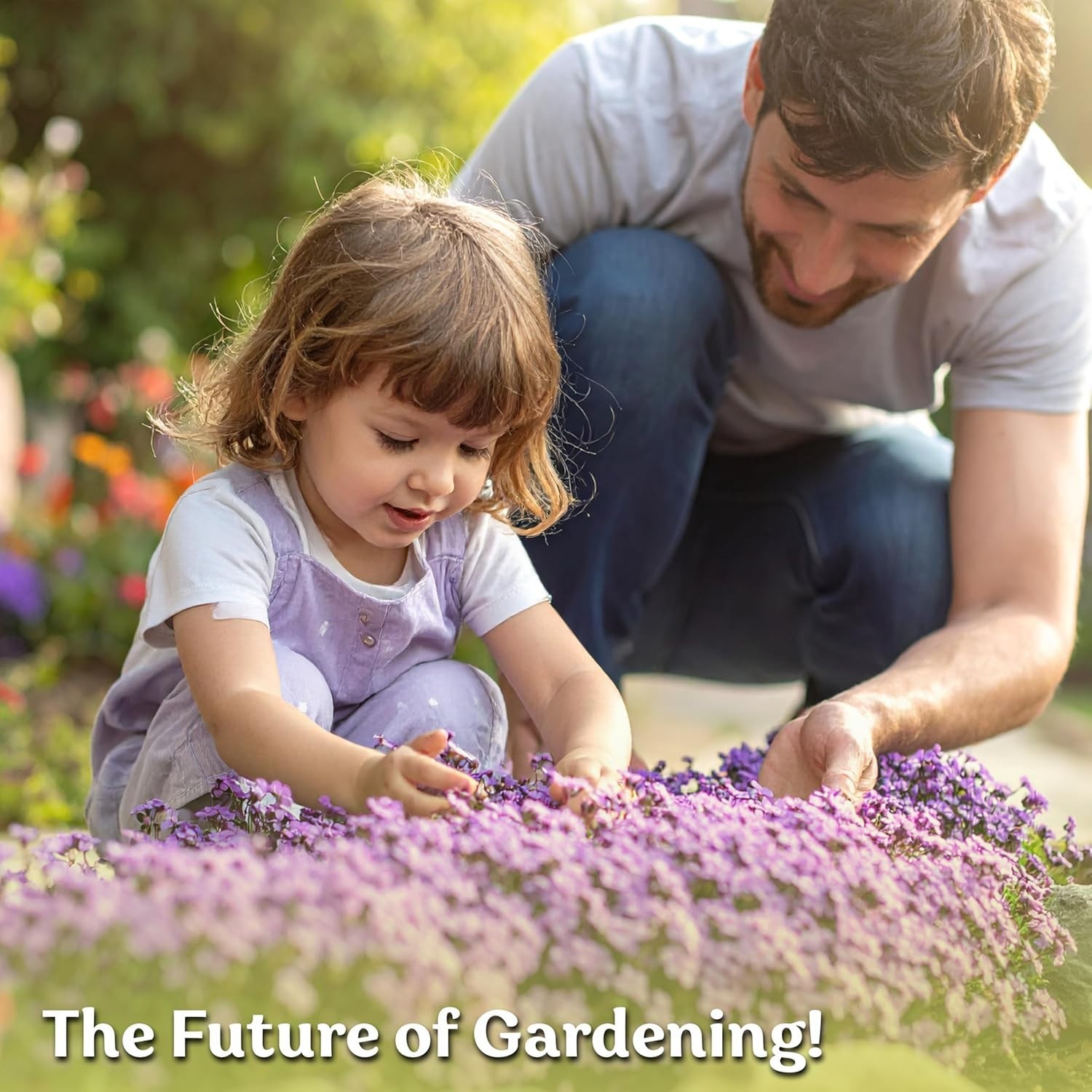 Aubrieta Deltoidea Seeds: 1,000 Organic Rock Cress Seeds for Lush Ground Cover