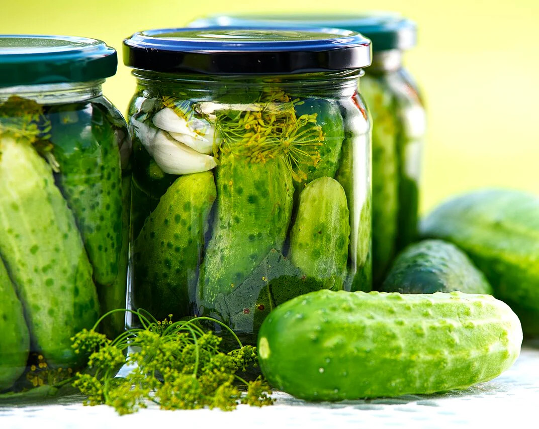 Boston Pickling Cucumber Seeds – For 2026 Planting Dark Green Kirby Heavy