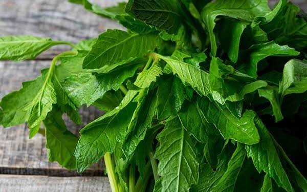 150 Puerto Rican Grown Epazote Pazote Seeds Chenopodium ambrosioides NON-GMO