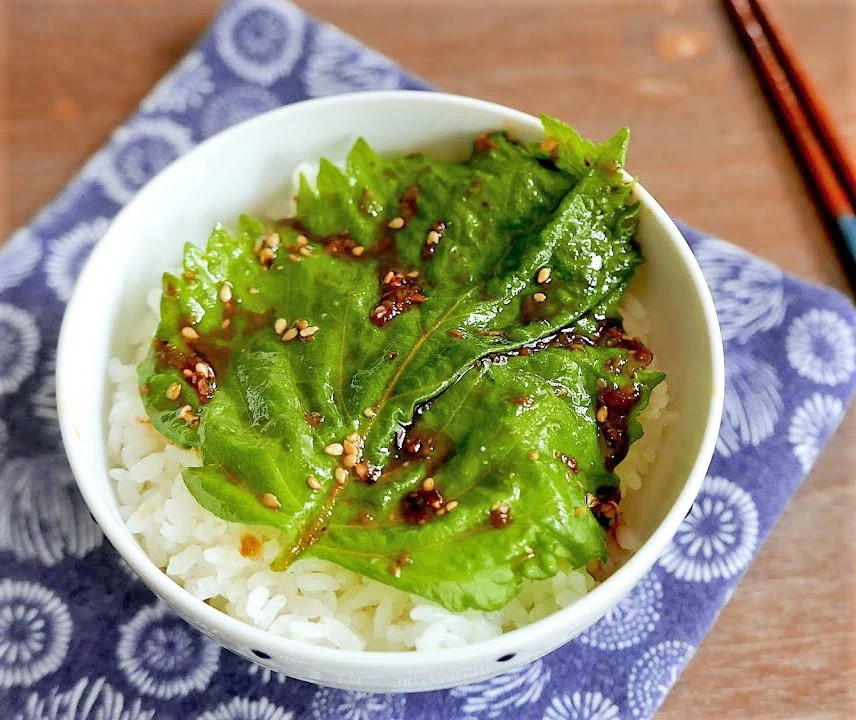 Green Perilla Seeds | Shiso Japanese Mint Basil Kaennip Asian Herb Seed 2024