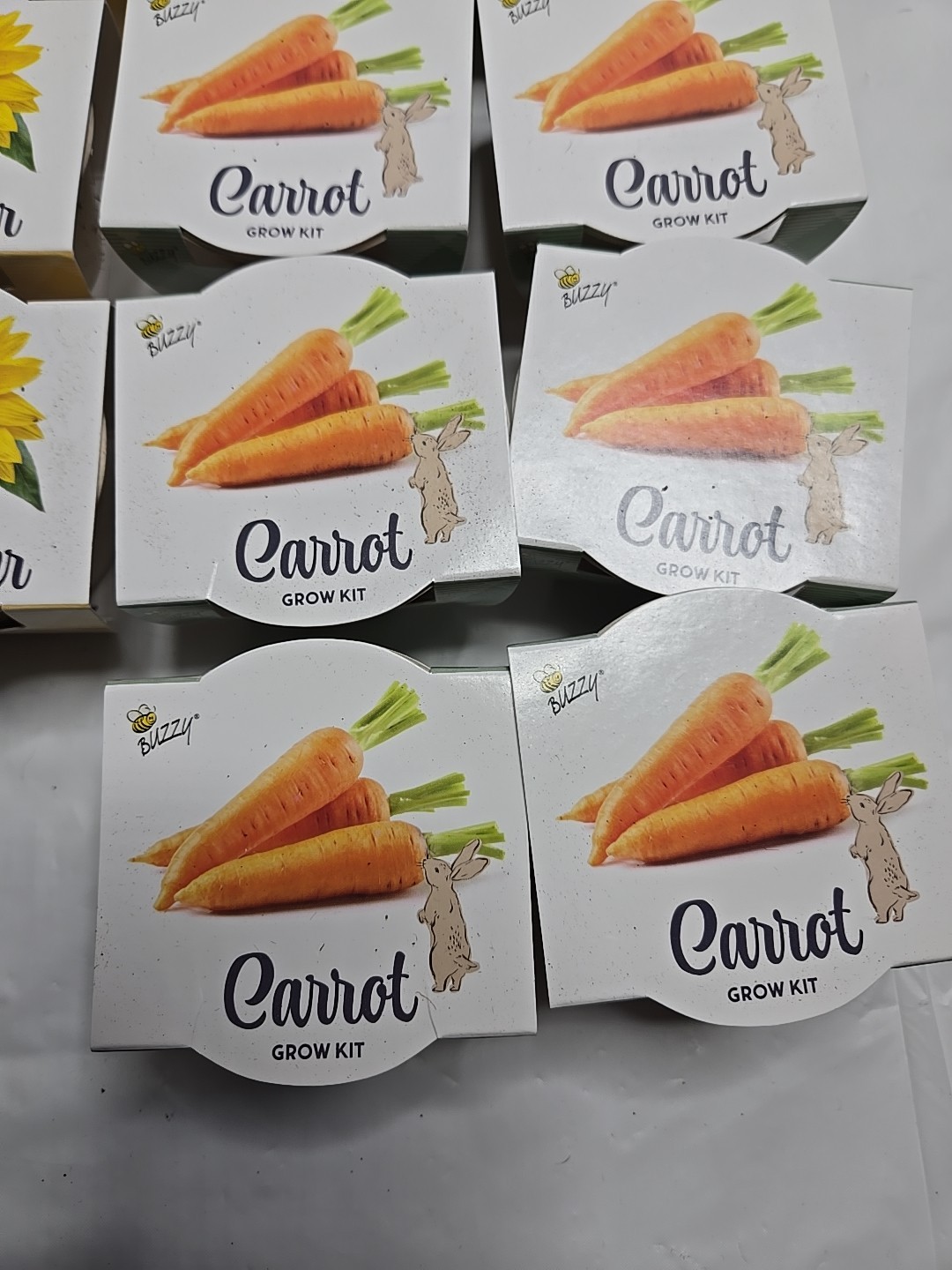 Buzzy Lot Of 36 Grow Kit Sunflower, Carrot, Daisy