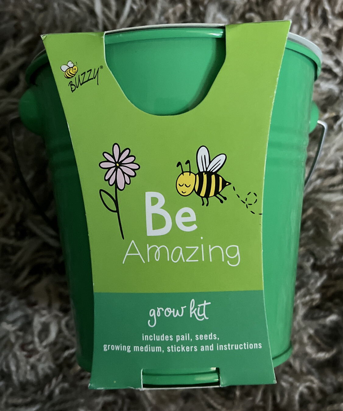 Coneflower Grow Kit – by Buzzy Inc.