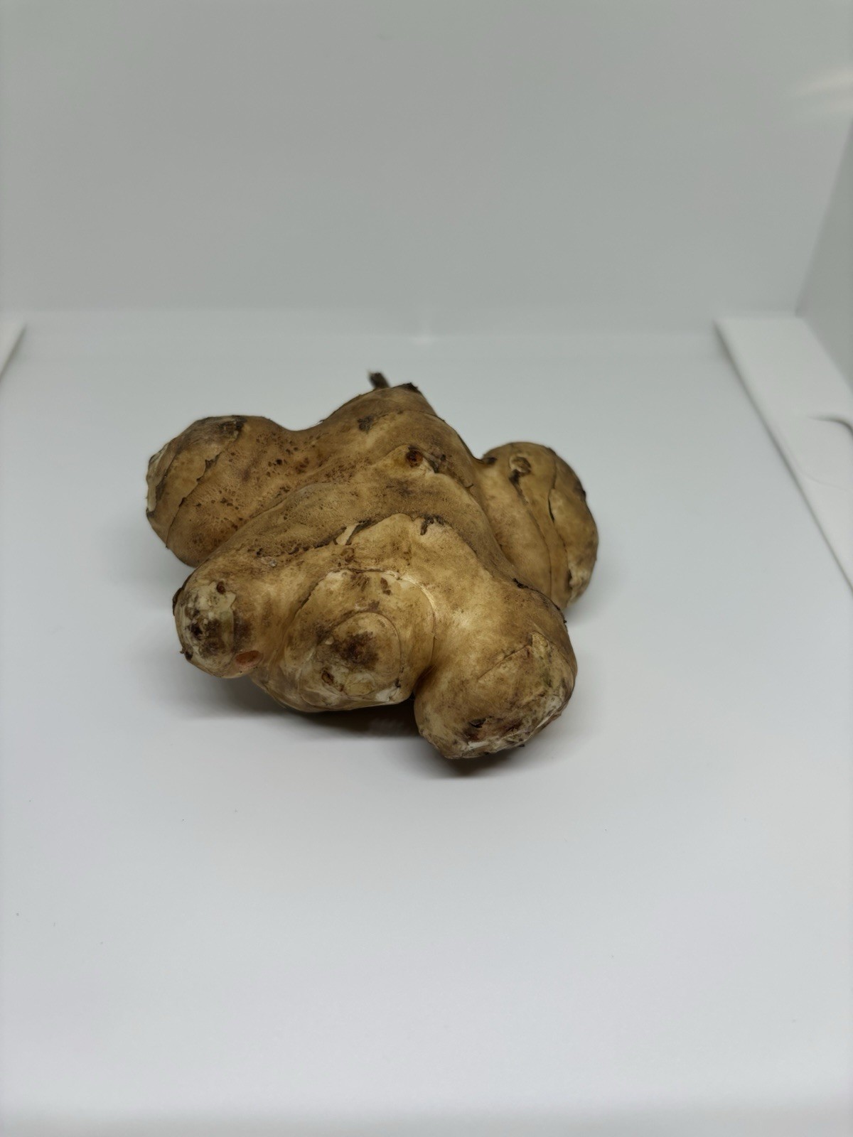 Organic Jerusalem artichoke Tubers 8oz .