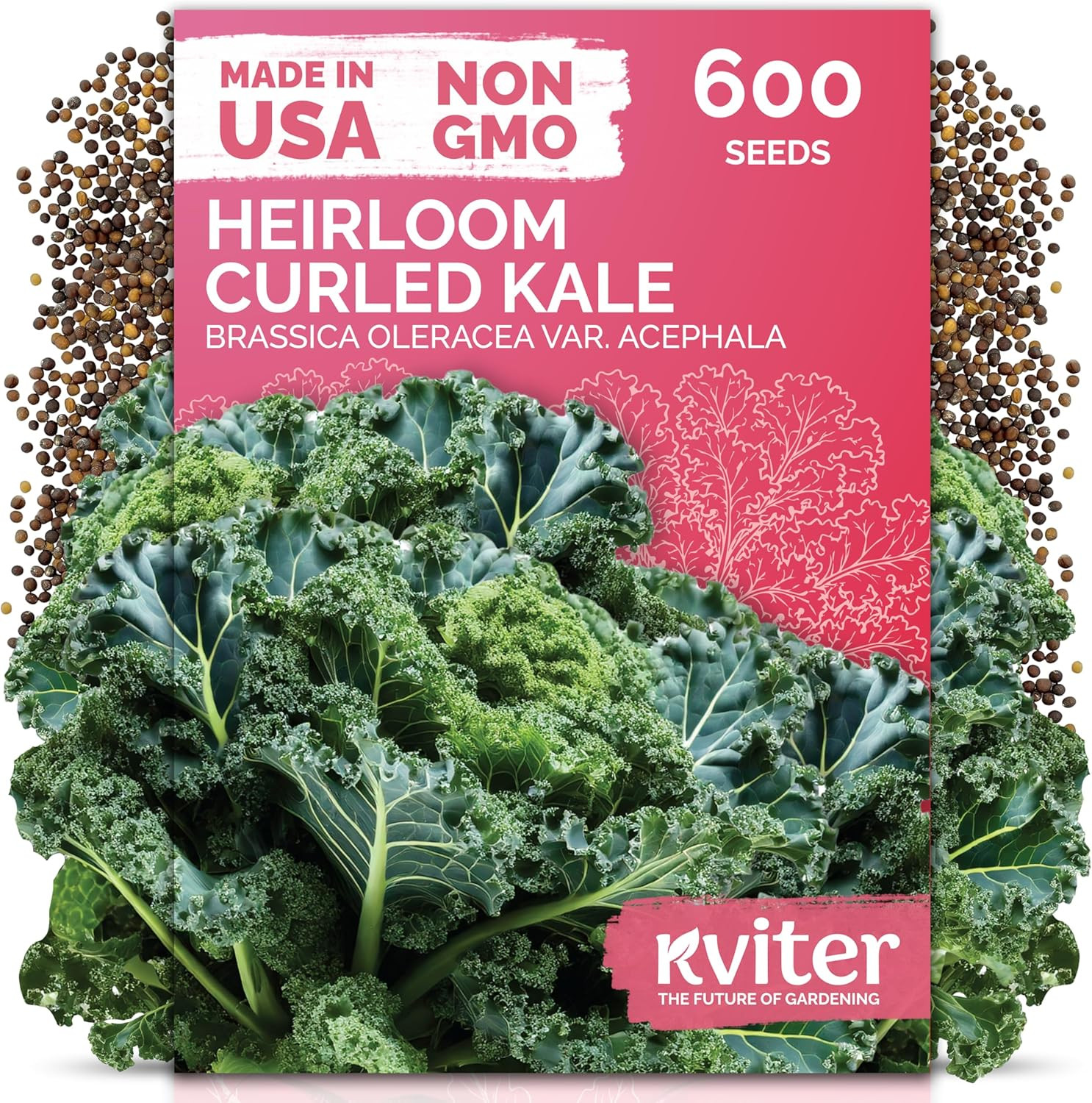 600 Vates Blue Scotch Curly Kale Seeds (Brassica Oleracea) – Curled Green Kale S